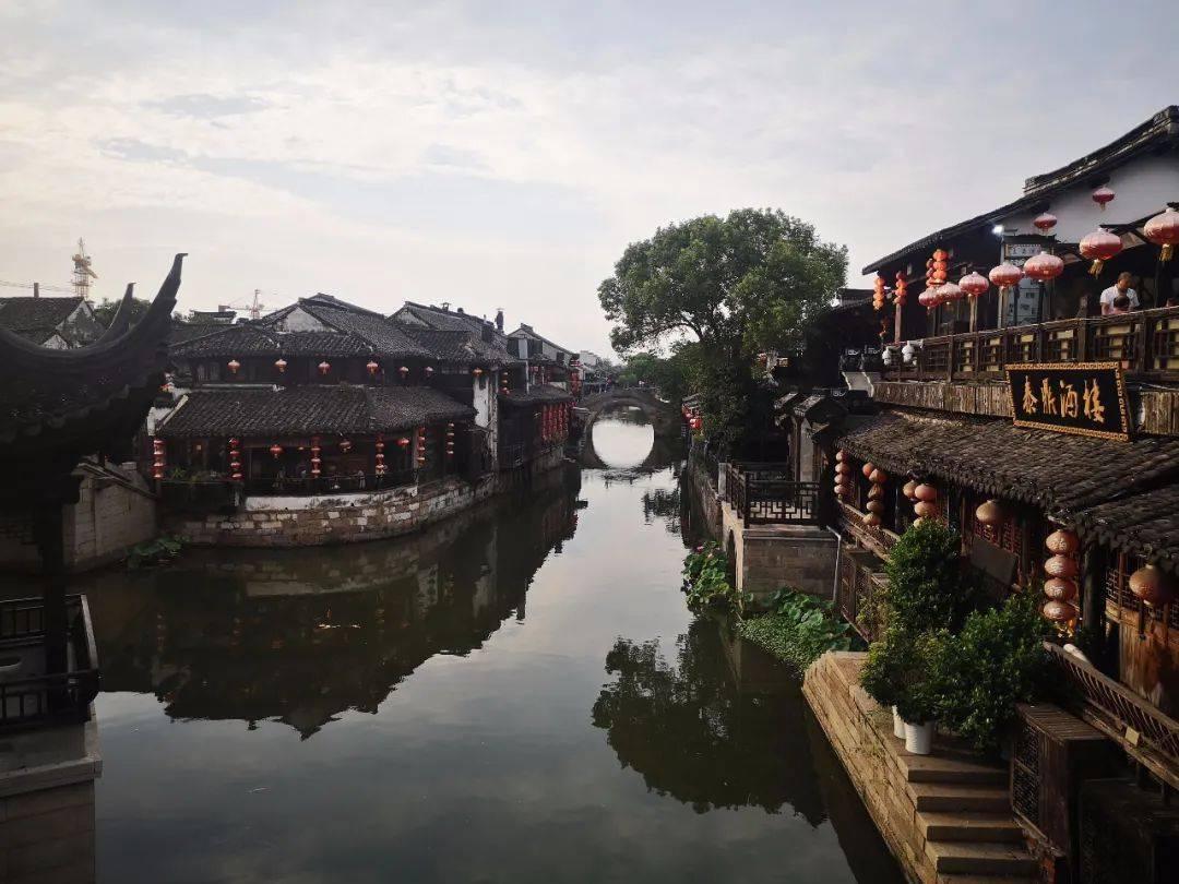 救援卡通老虎